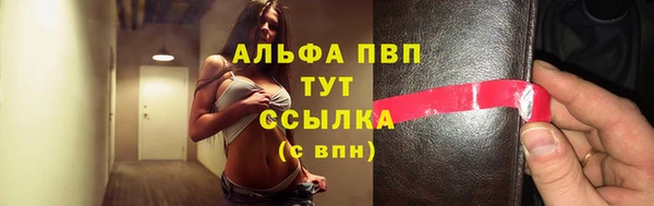 стафф Верхний Тагил
