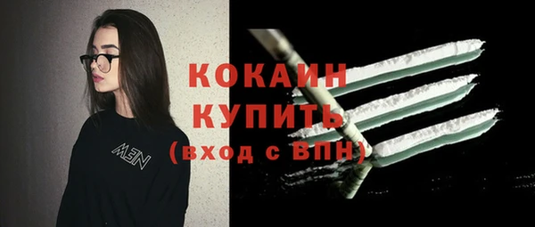 стафф Верхний Тагил