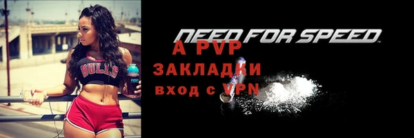 стафф Верхний Тагил