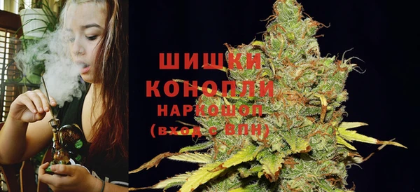 стафф Верхний Тагил