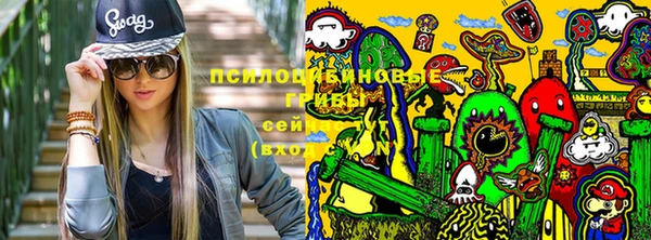 дурь Верея