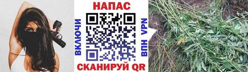 Каннабис SATIVA & INDICA Мурманск